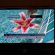 Illustration for article titled Is It Me, Or Are TVs Getting Friendlier?